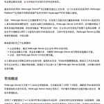 weblogic 9.0 技术白皮书 pdf_服务器教程