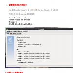 centos6.5安装64位oracle 11gR2 中文PDF_操作系统教程